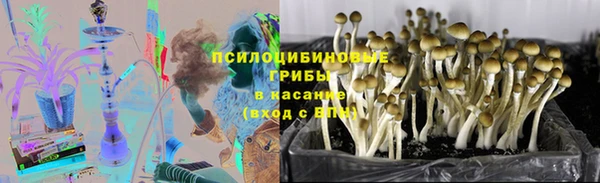 синтетический гашиш Алексеевка