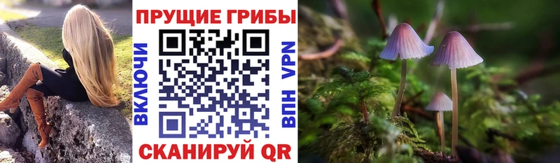 мега ТОР магазин наркотиков Агидель Псилоцибиновые грибы Magic Shrooms